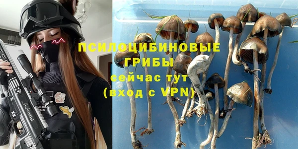 Альфа ПВП Алексин