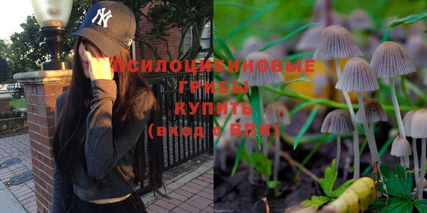твердый Алзамай