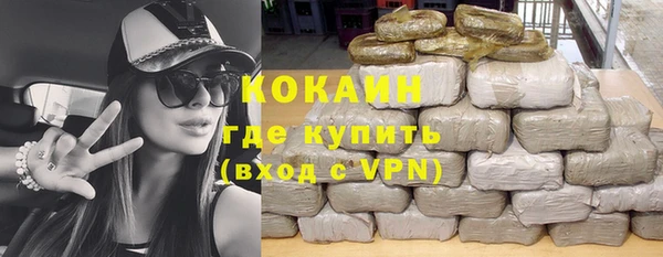 твердый Алзамай