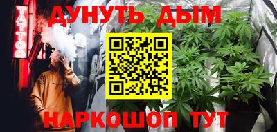 шишки Кандалакша