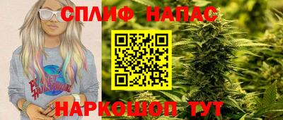 шишки Кандалакша