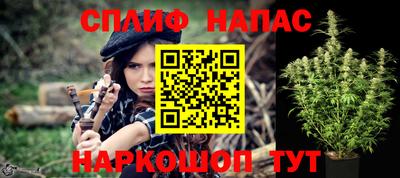 шишки Кандалакша