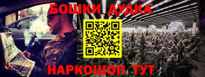 шишки Кандалакша