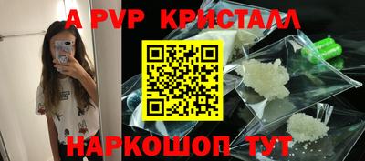 шишки Кандалакша