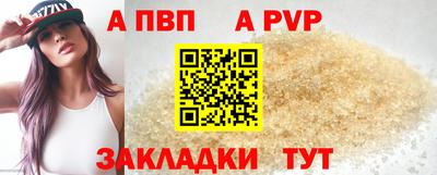 шишки Кандалакша