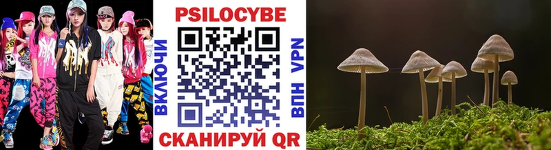 сколько стоит  Курчалой  Псилоцибиновые грибы Cubensis 