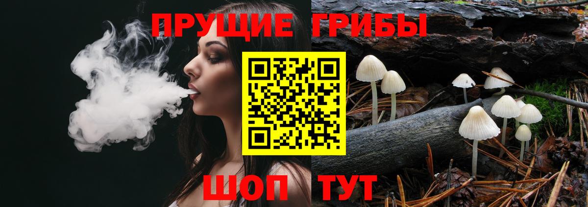 Псилоцибиновые грибы Magic Shrooms Курчалой